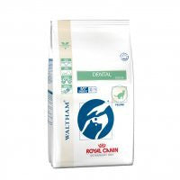 Royal Canin Dental DSO Feline - scn-quanprod