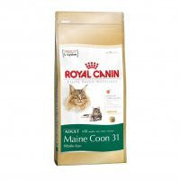 Royal Canin Maine Coon Adulto - scn-quanprod